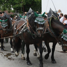 normal_13062011leonhardirittholzhausenkjaktivnews_013.jpg