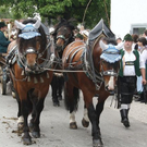 normal_13062011leonhardirittholzhausenkjaktivnews_019.jpg
