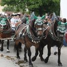 normal_13062011leonhardirittholzhausenkjaktivnews_022.jpg