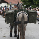 normal_13062011leonhardirittholzhausenkjaktivnews_041.jpg