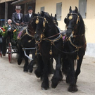 normal_13062011leonhardirittholzhausenkjaktivnews_049.jpg