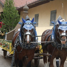 normal_13062011leonhardirittholzhausenkjaktivnews_050.jpg