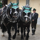 normal_13062011leonhardirittholzhausenkjaktivnews_052.jpg