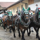 normal_13062011leonhardirittholzhausenkjaktivnews_066.jpg