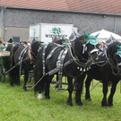 normal_13062011leonhardirittholzhausenkjaktivnews_096.jpg