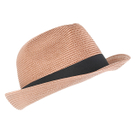 Fedora - Bronze.jpg