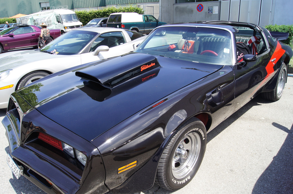 DSC01673_JPG-1308080150