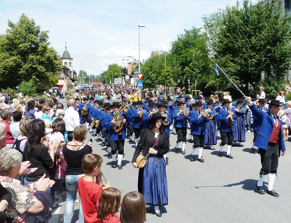 Leiter30mBuemu_jpg-1308086148