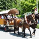 Leiter30Umzug_jpg-1308086607