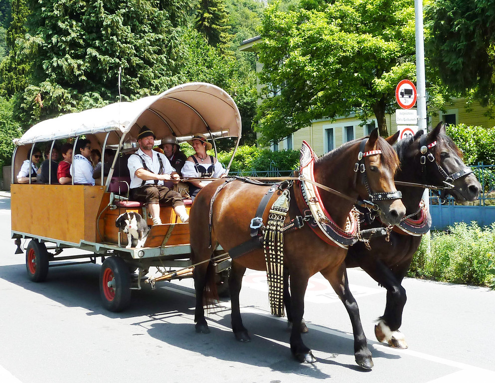 Leiter30Umzug_jpg-1308086607