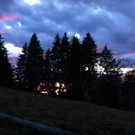 IMG_1489.JPG