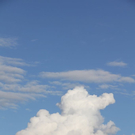 normal_14062011medicalrlaktivnews_002.jpg