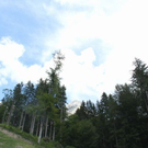 normal_150611wettergmaktivnews014.jpg
