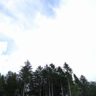 normal_150611wettergmaktivnews016.jpg
