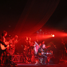 Zucchero live