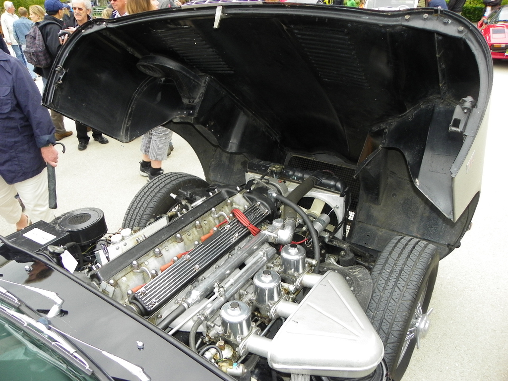 _166__jpg-1308181186