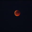 Bilder der Mondfinsternis 
