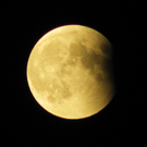 IMG_4128.JPG
