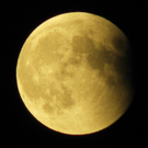 IMG_4131.JPG