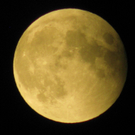 IMG_4146.JPG