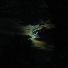 IMG_4157.JPG