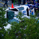 DAB1750-20110616.jpg