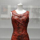 Lady Gagas Fleischkleid kommt ins Museum