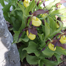 DSC2910.jpg