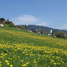 DSC1122.jpg