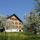 DSC1123.jpg