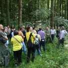 a im wald_JPG-1308293136