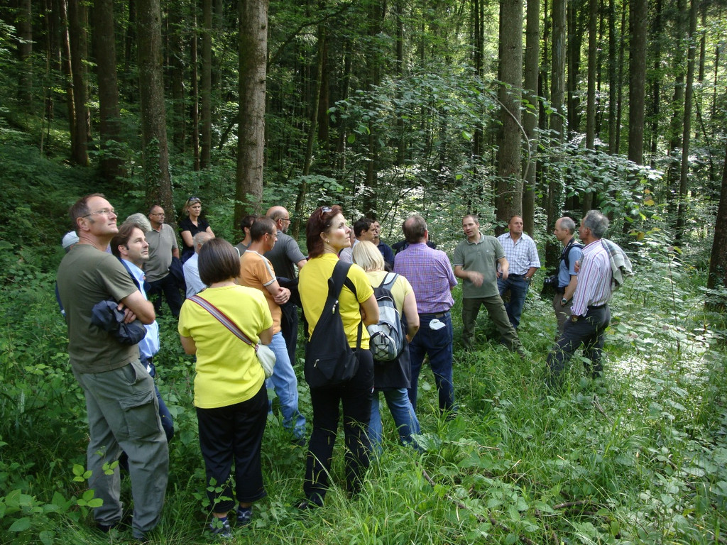 a im wald_JPG-1308293136