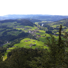 IMG_0624_JPG-1308302867