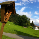 IMG_0626_JPG-1308302896