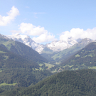 IMG_6945.jpg