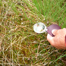 P1080944_jpg-1308304157
