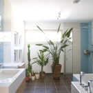 Badezimmer.jpg