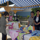 118_bearbeitet-1_jpg-1308325944