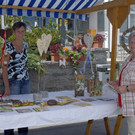 123_bearbeitet-1_jpg-1308326013