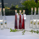 164_bearbeitet-1_jpg-1308331070