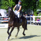 _252__jpg-1308383529