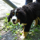 _301__jpg-1308383429