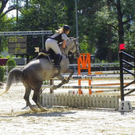 _297__jpg-1308383556