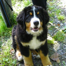 _298__jpg-1308383558