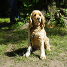 _323__jpg-1308383573