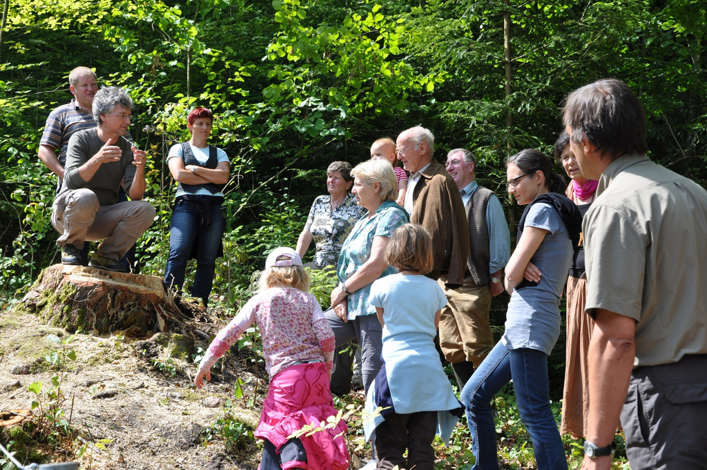 auf dem Weg in den Wald_jpg-1308386910