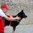 normal_17062011rotkreuzsalzburg132.jpg