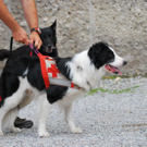 normal_17062011rotkreuzsalzburg156.jpg