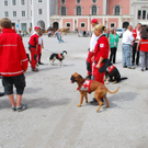 normal_17062011rotkreuzsalzburg66.jpg