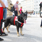 normal_17062011rotkreuzsalzburg68.jpg